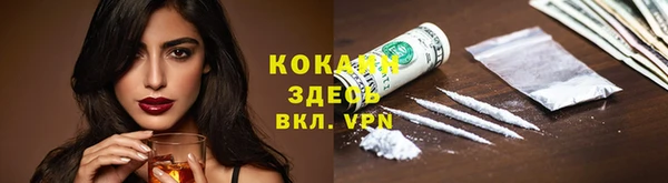 стаф Абинск