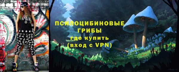 стаф Абинск